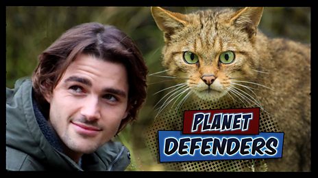 Planet Defenders